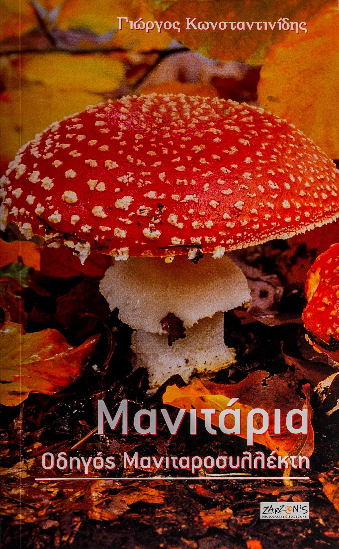 Mushrooms, Mushroom Guide – travel guide – Greece