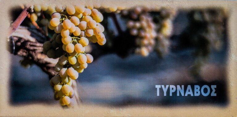 Tirnavos – postcard folio – Greece